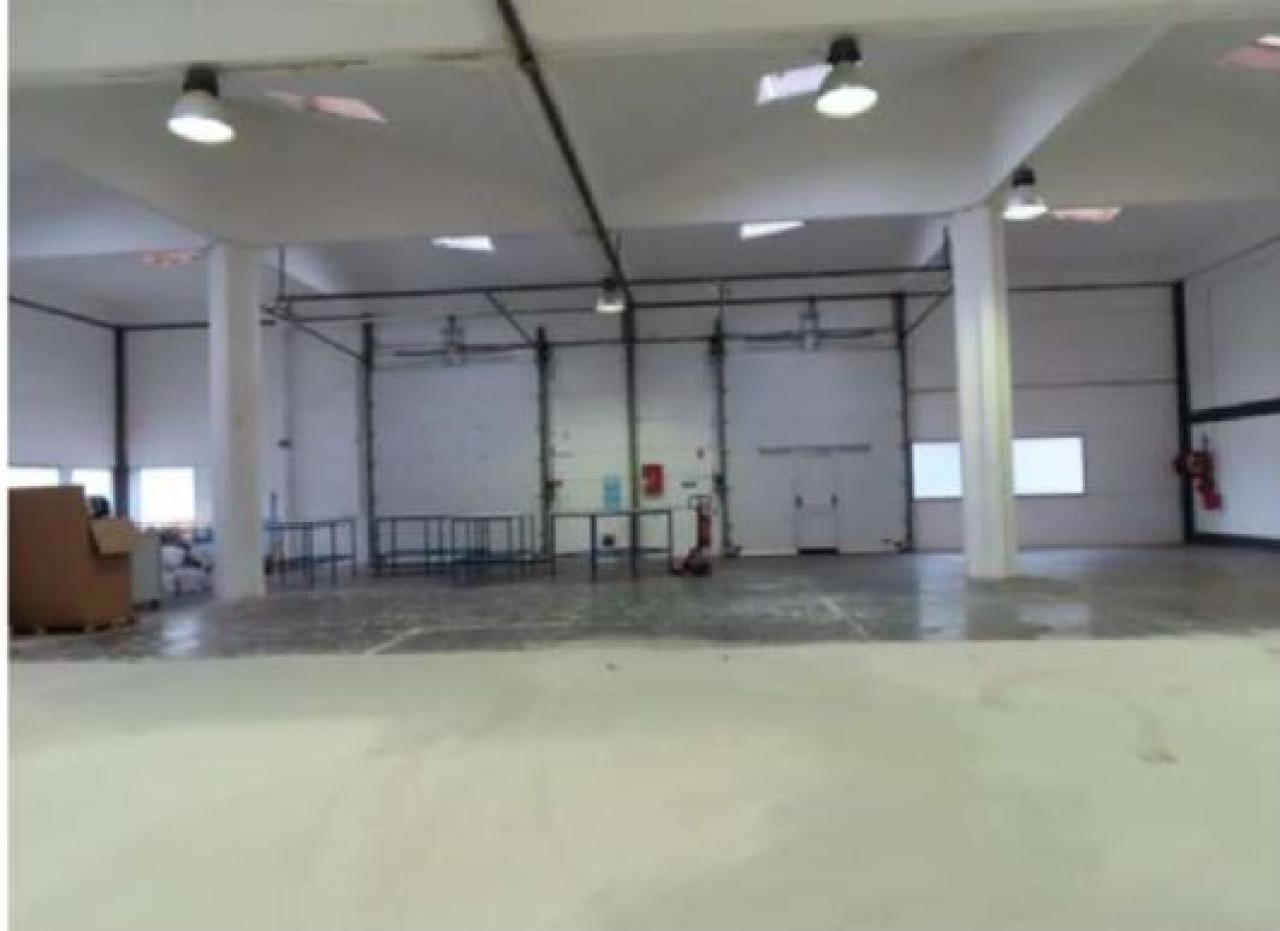 Local d'activité Villeneuve-d'Ascq 2339m² Location local d'activité Villeneuve-d'Ascq Nord OLACT2428282 6